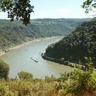 Loreley