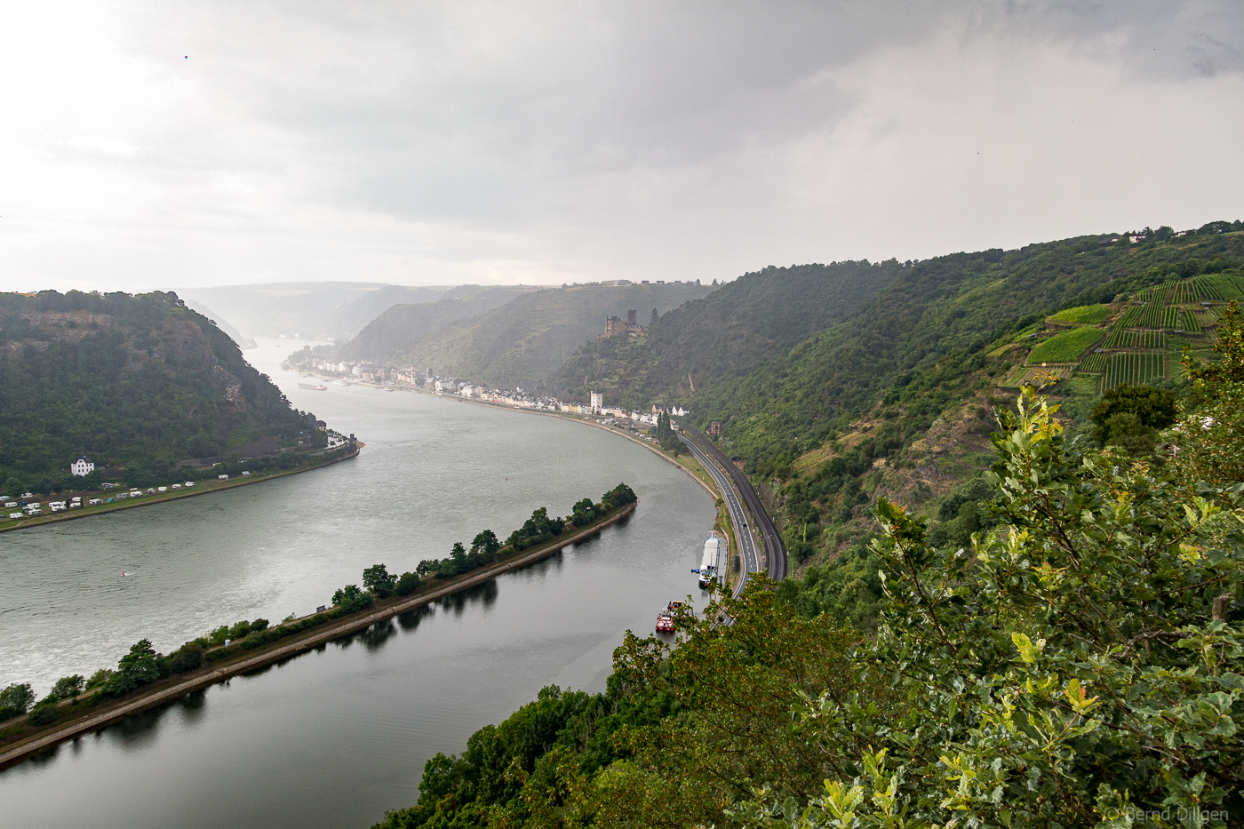 Loreley:  Aussicht auf Rhein und nähere Umgebung