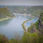 Loreley-Blick