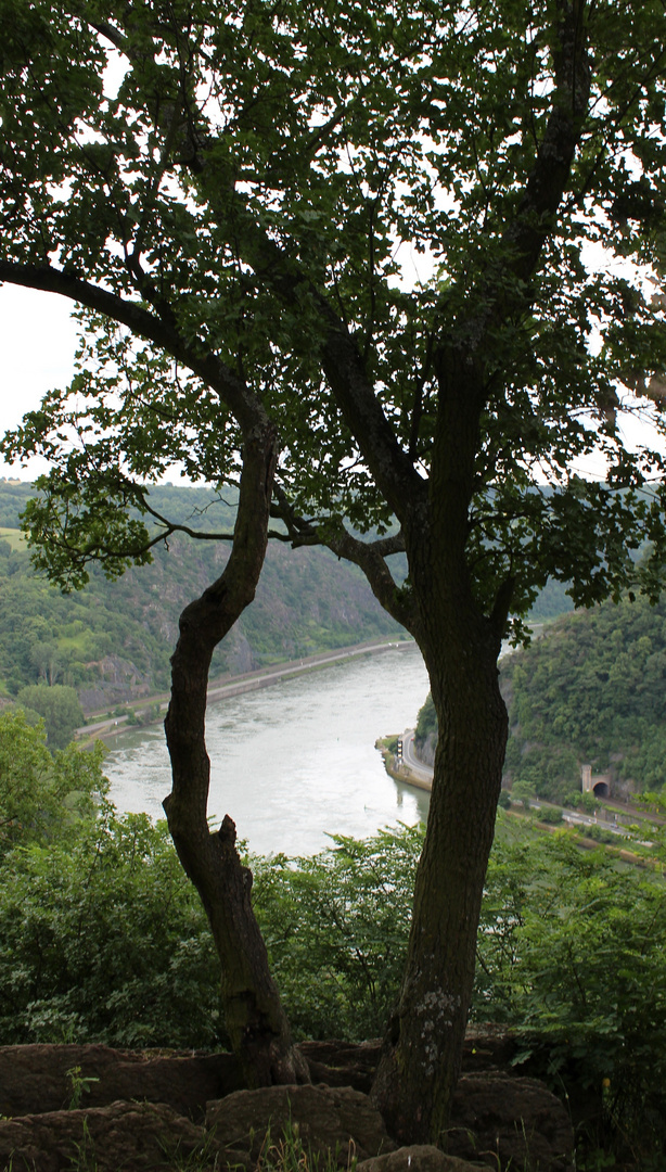 Loreleyfelsen mit Blick auf den Rhein