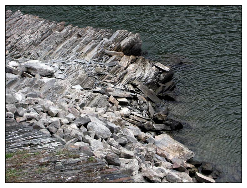 Loreleyfuß im Rhein sonst nicht zu sehen