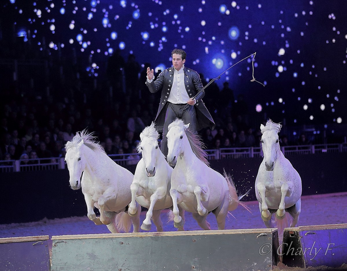 Lorenzo auf der Equitana 2013