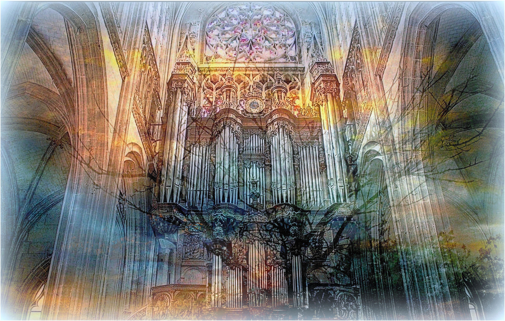 L'orgue des couleurs