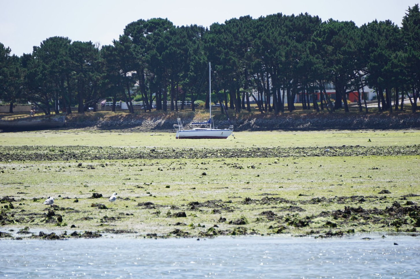 Lorient_Ebbe_Sailing_1