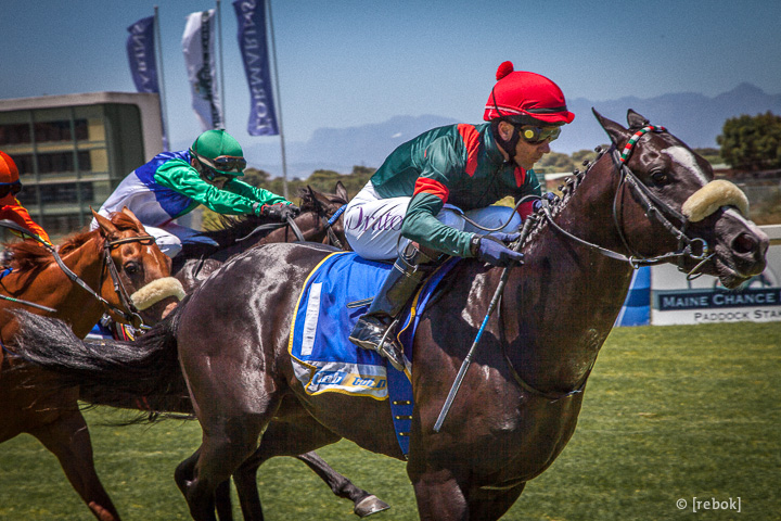 L'Ormarins Queen's Plate 2013