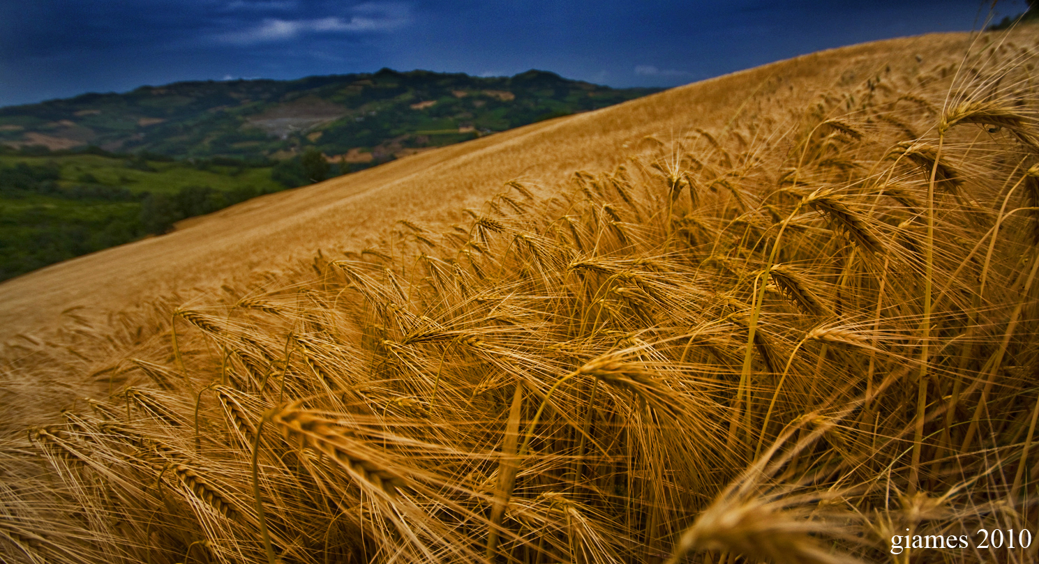 L'Oro della Val Tidone, Giugno 2010