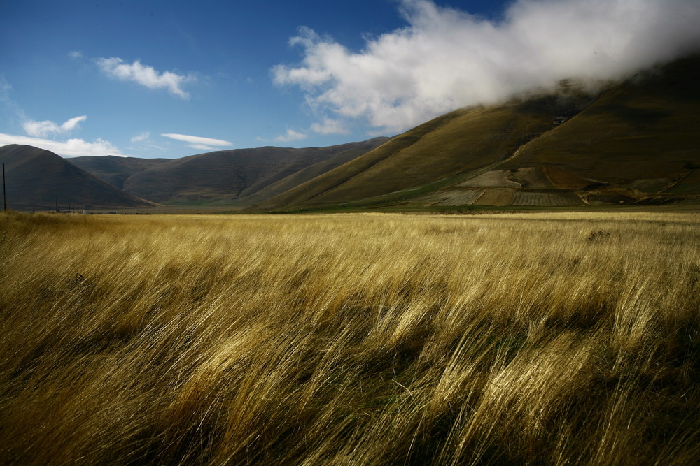 L'oro di Castelluccio