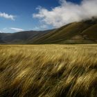 L'oro di Castelluccio