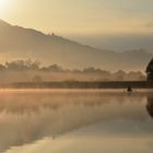 l'oro di novembre