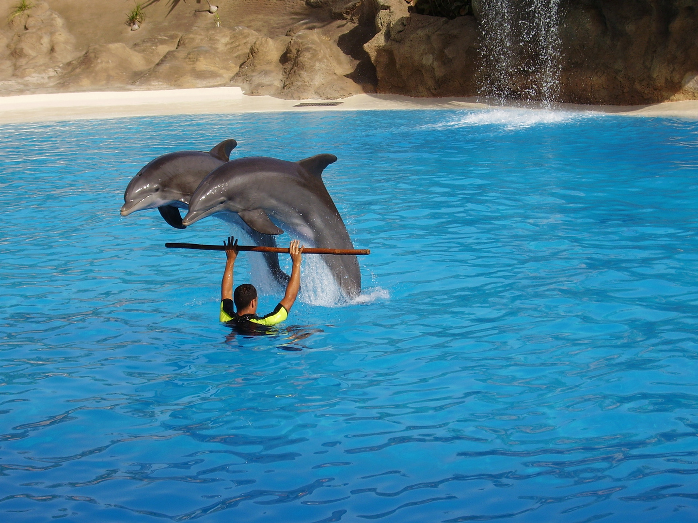 Loro Parque 1