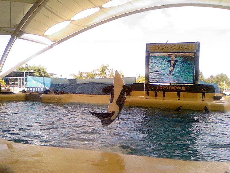 Loro Parque 2