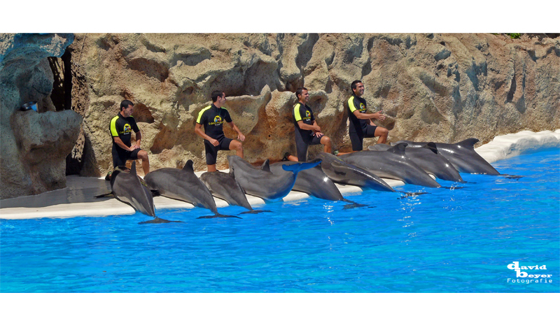 Loro Parque