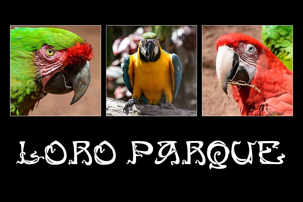 Loro Parque