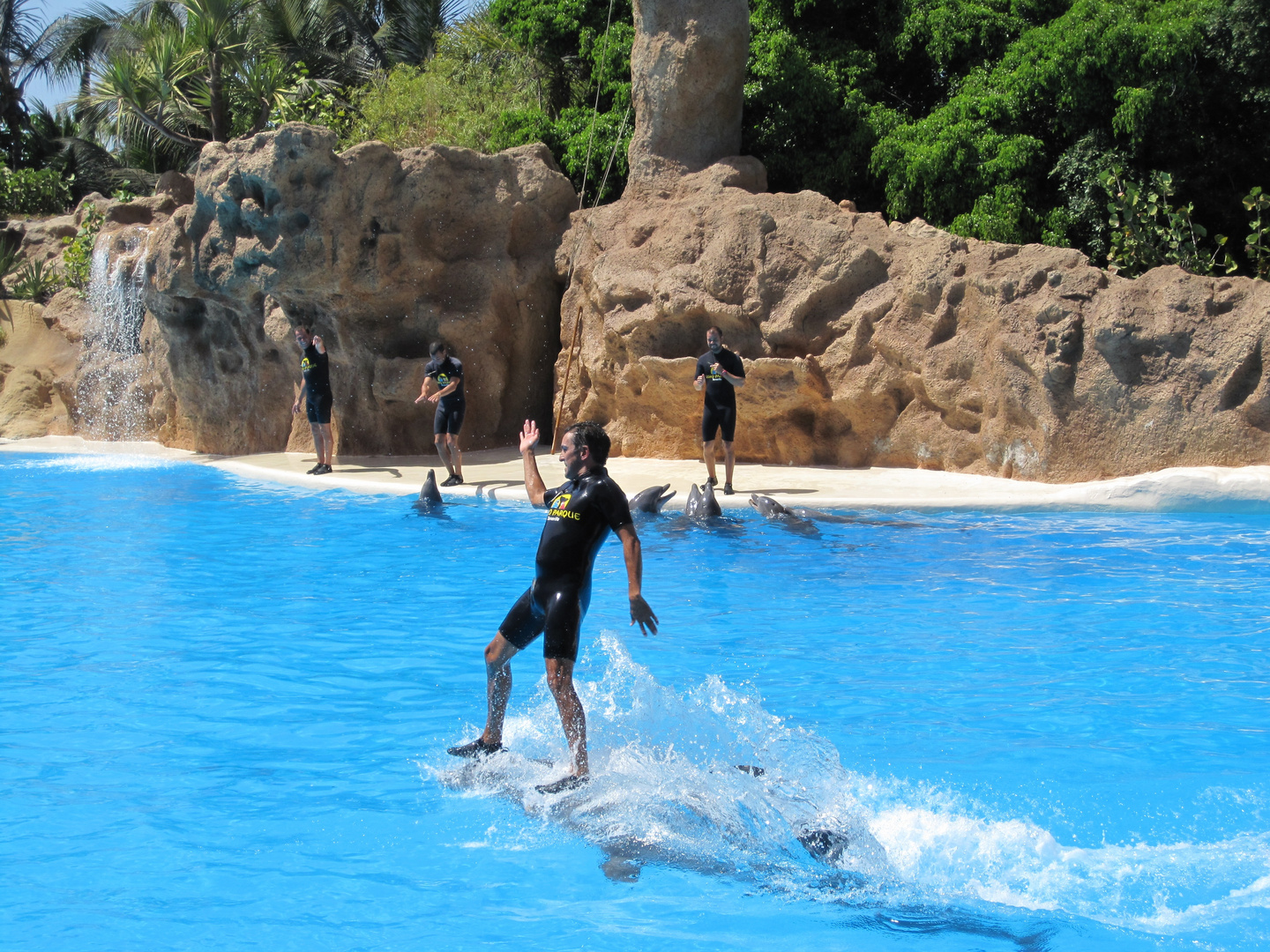 Loro Parque