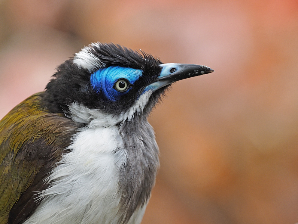 Loro Parque