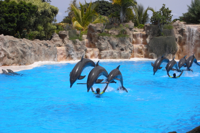 Loro Parque