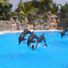 Loro Parque