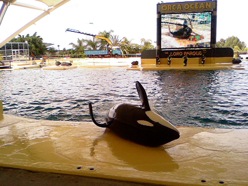 Loro Parque