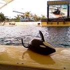 Loro Parque