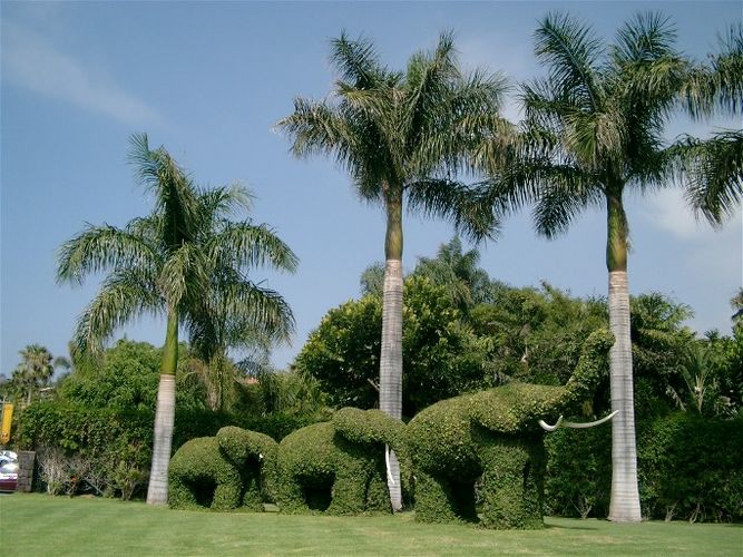 Loro Parque