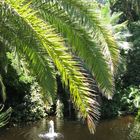 loro parque