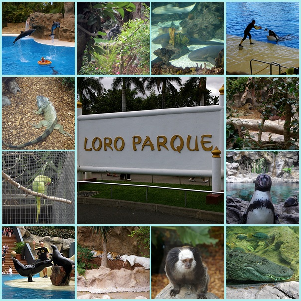 "Loro Parque" auf Teneriffa 2010