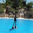 Loro Parque