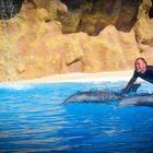 Loro Parque Delfinen