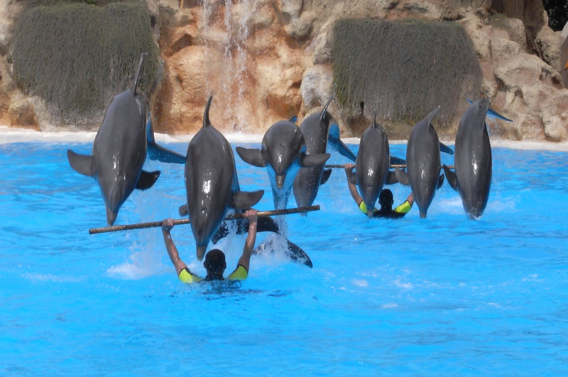 Loro Parque III