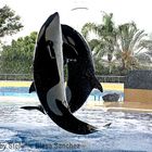 Loro Parque Tenerife Orcas