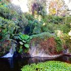 Loro Parque Teneriffa