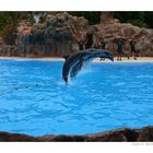 Loro Parque, Teneriffa