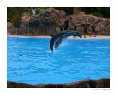 Loro Parque, Teneriffa