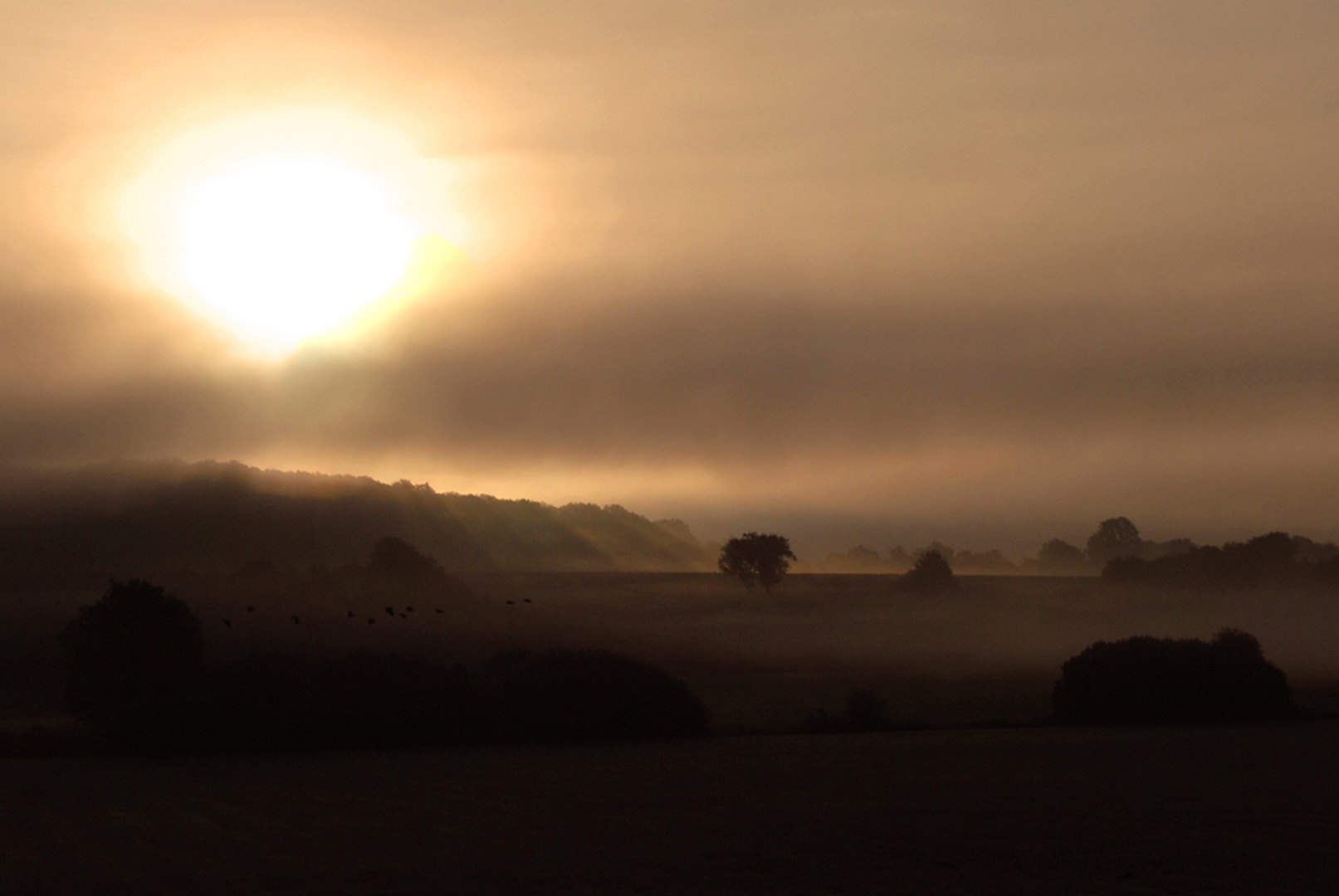 lorsque la lumière rencontre le brouillard