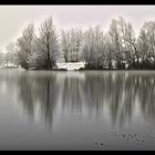 Lorsque la nature se met au Noir et Blanc 2