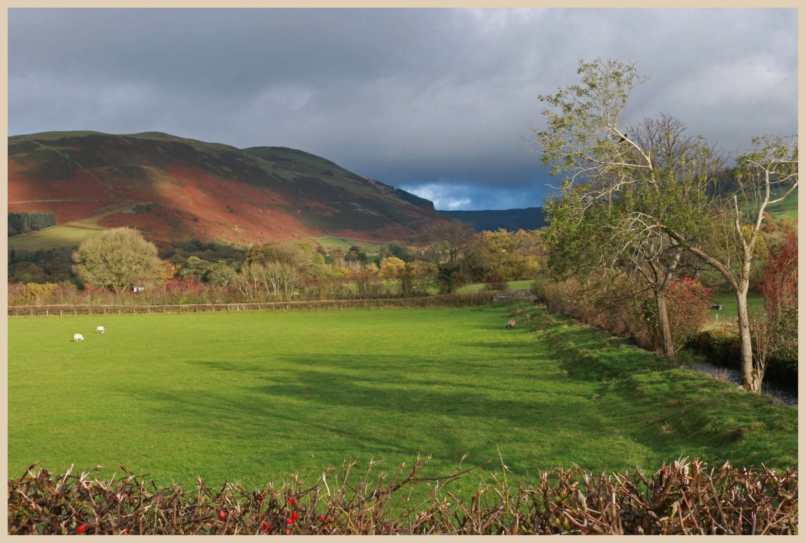 Lorton vale 1