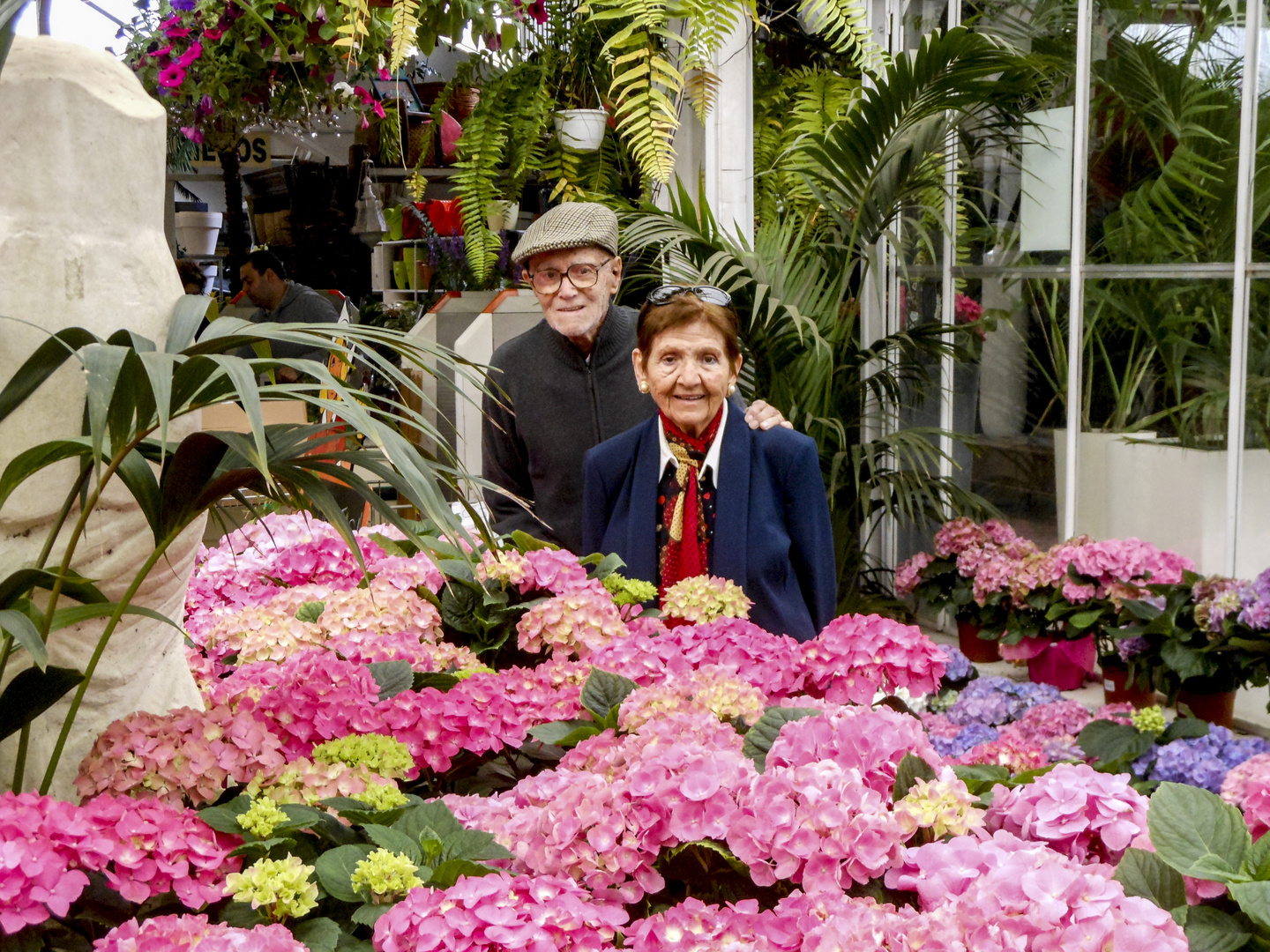 Los abuelos y las flores