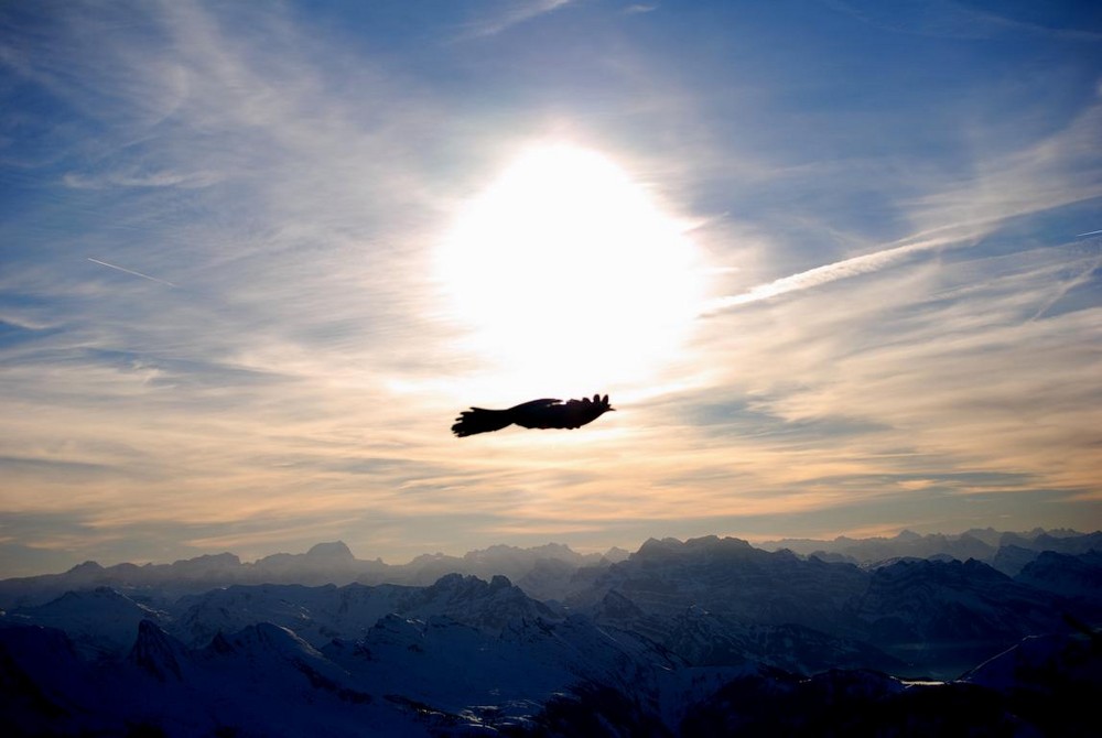 Los alpes suizos