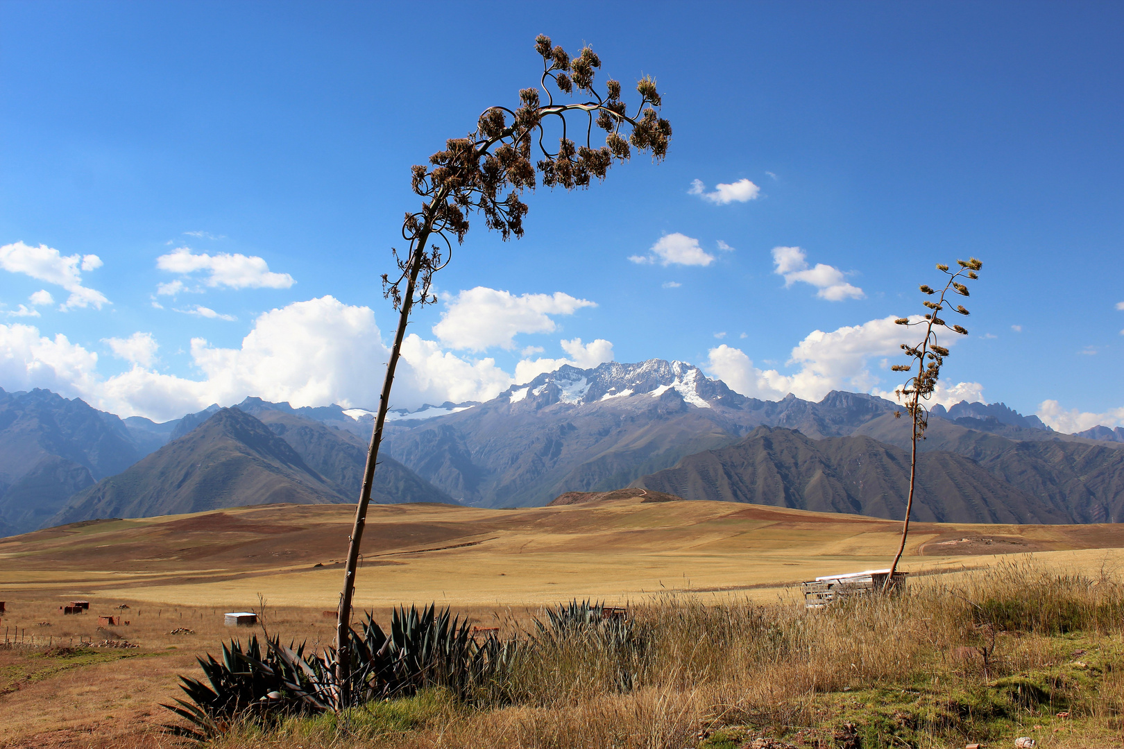 Los Andes