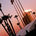 Los Angeles Dodgers Stadium Palms