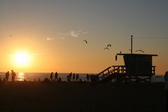 Los Angeles  Lifeguard