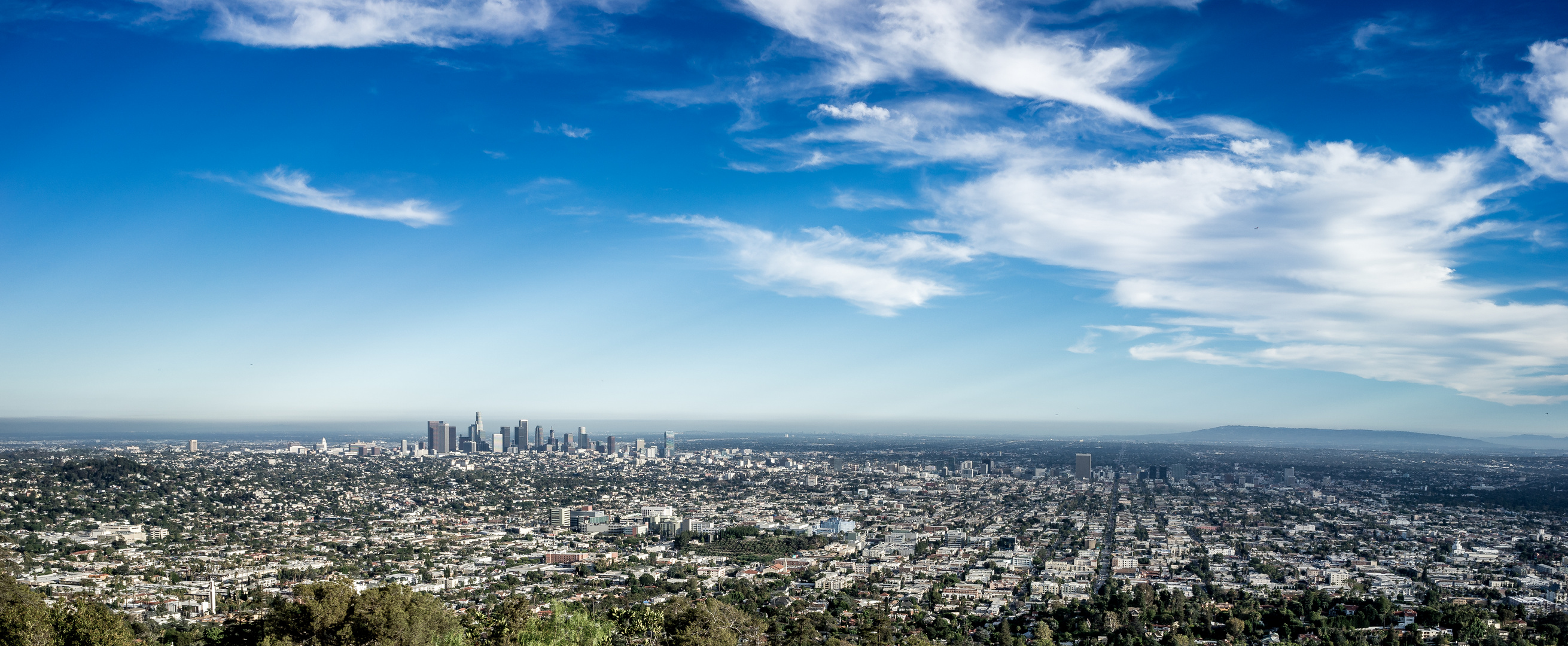 Los Angeles Panorama