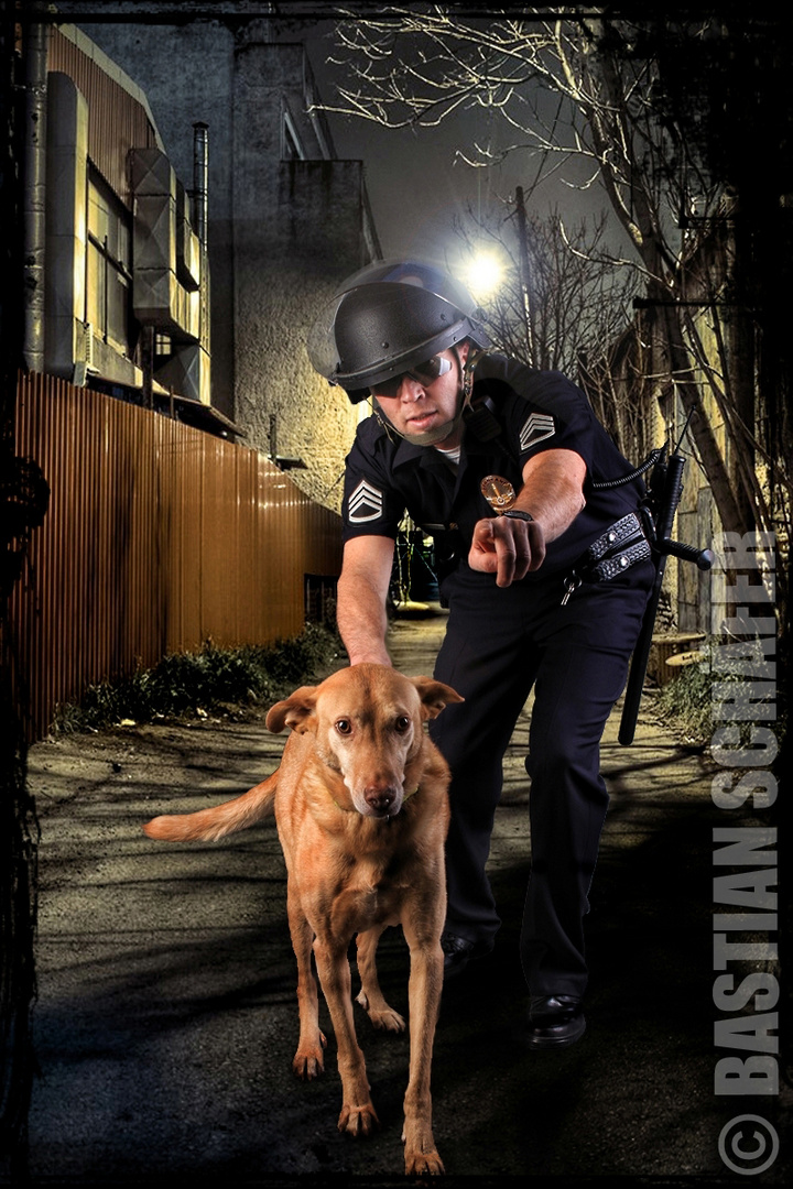 Los Angeles Police K9 Officer