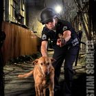 Los Angeles Police K9 Officer