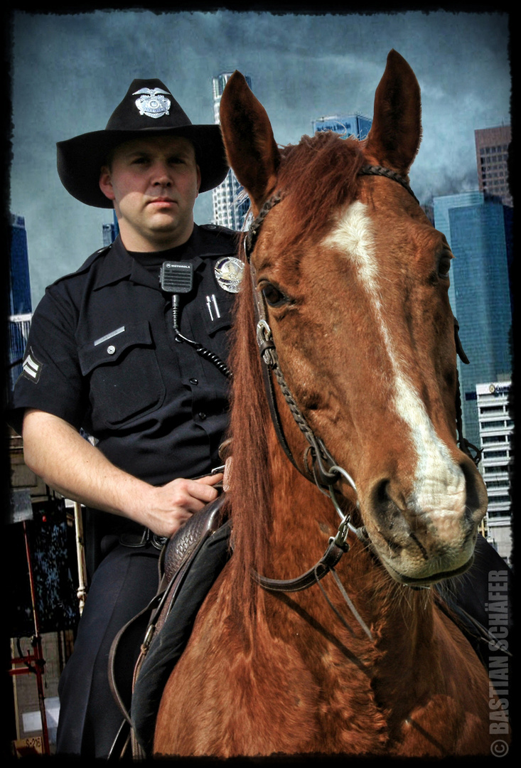 Los Angeles Police Mounted Platoon