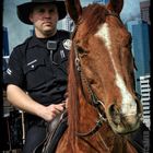 Los Angeles Police Mounted Platoon