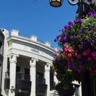 Los Angeles - Rodeo Drive