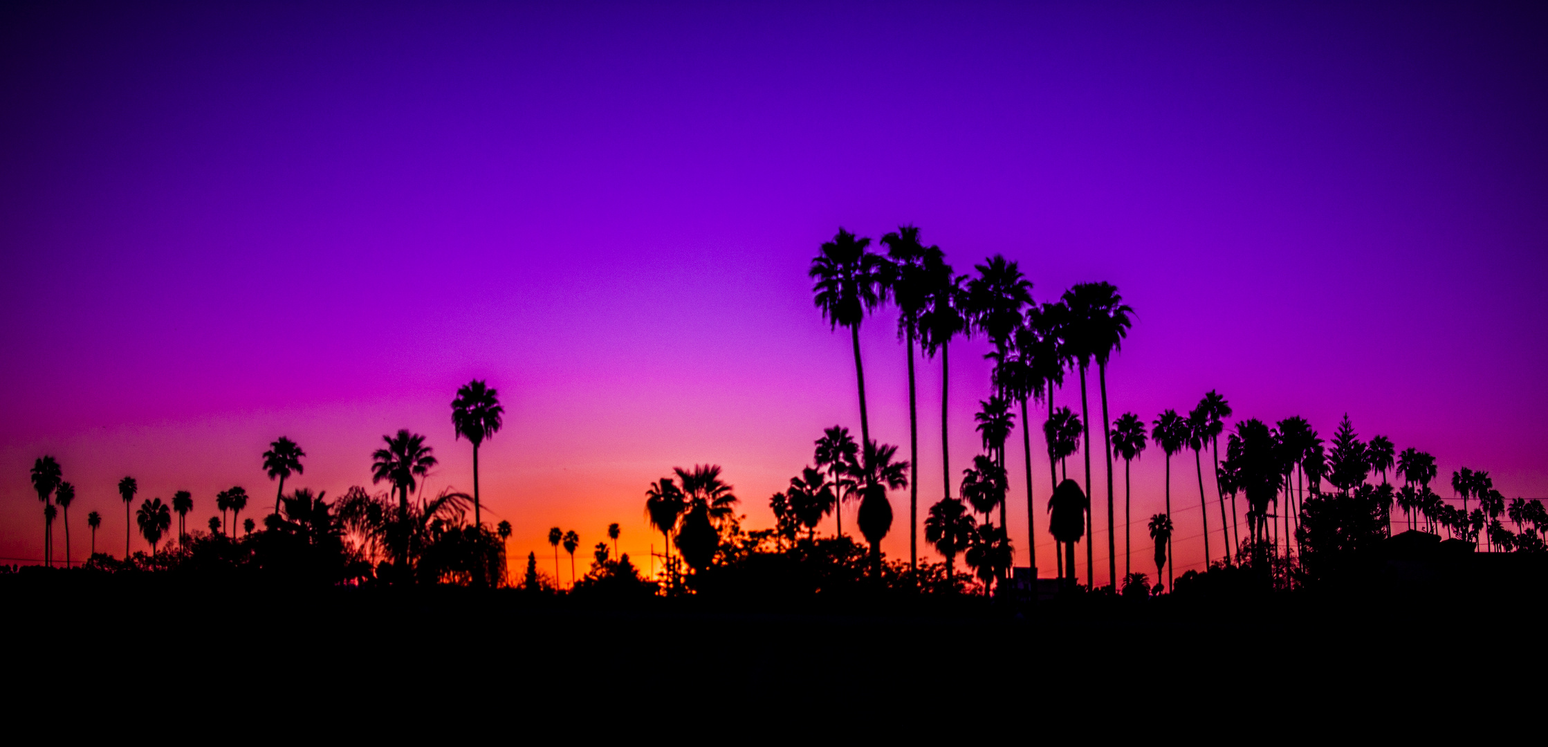 Los Angeles Silhouette