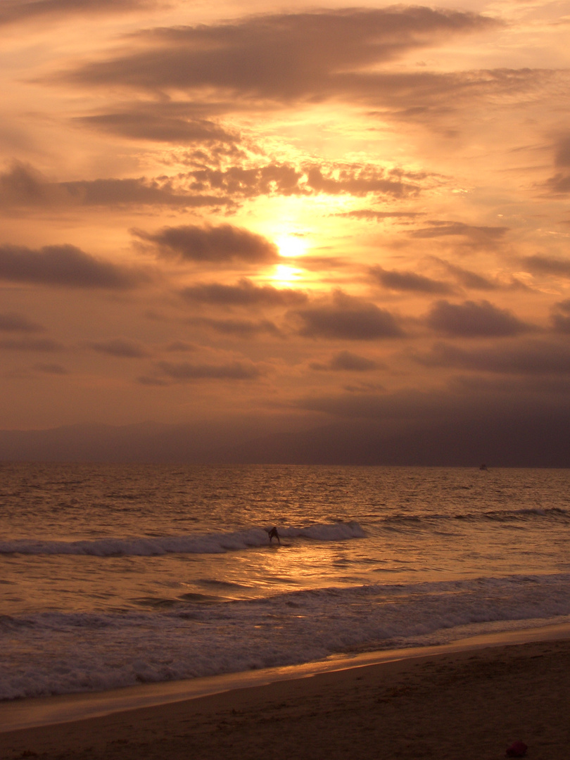 los angeles sunset surfer