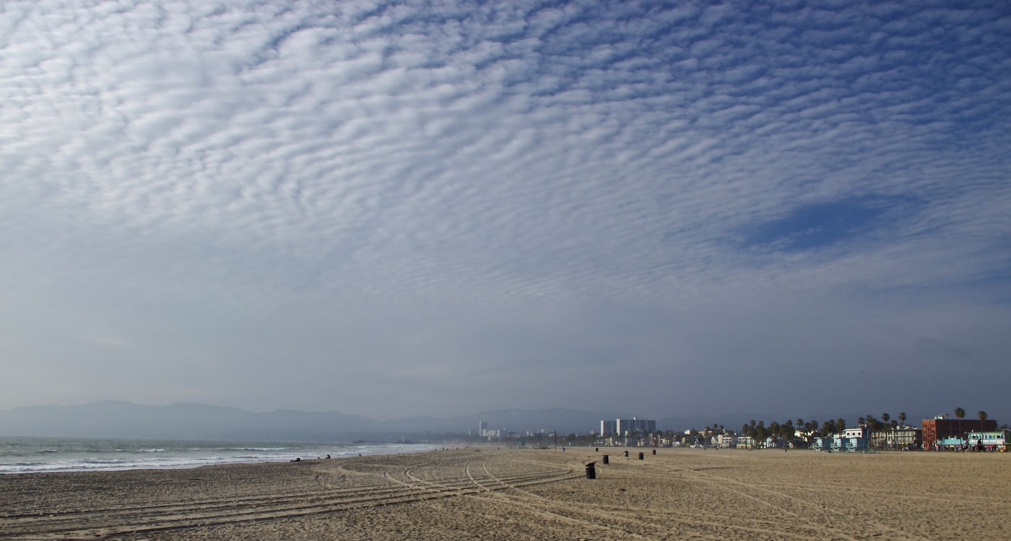 Los Angeles Venice Beach 3